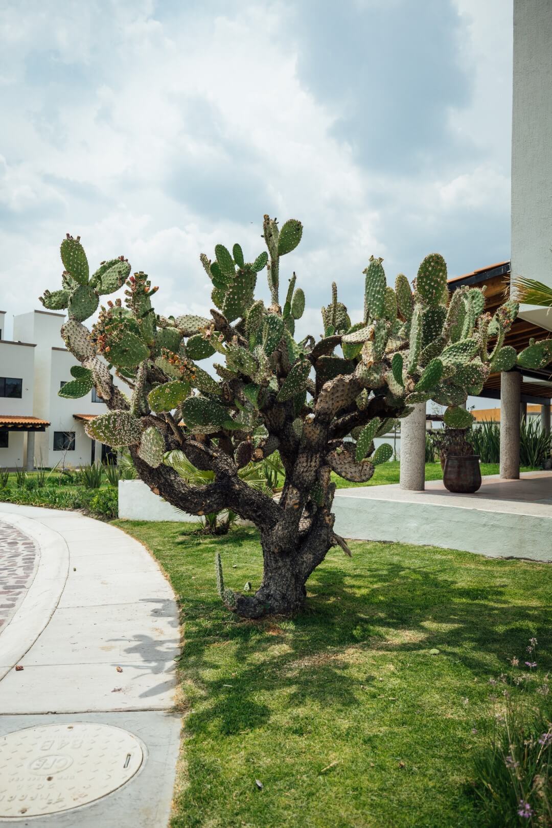 CASA SAN AGUSTIN – LA CONDESA SMA